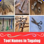 Tagalog Tool Names: Essential Vocabulary for DIY and Home Projects in the Philippines Tagalog Tool Names: Essential Vocabulary for DIY and Home Projects in the Philippines