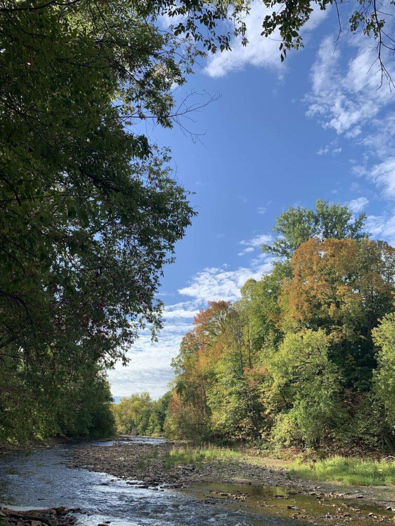 10 Things to Know About Pansy Patch Park in Pembroke, Ontario (A Hidden Riverside Gem) 10 Things to Know About Pansy Patch Park in Pembroke, Ontario (A Hidden Riverside Gem)