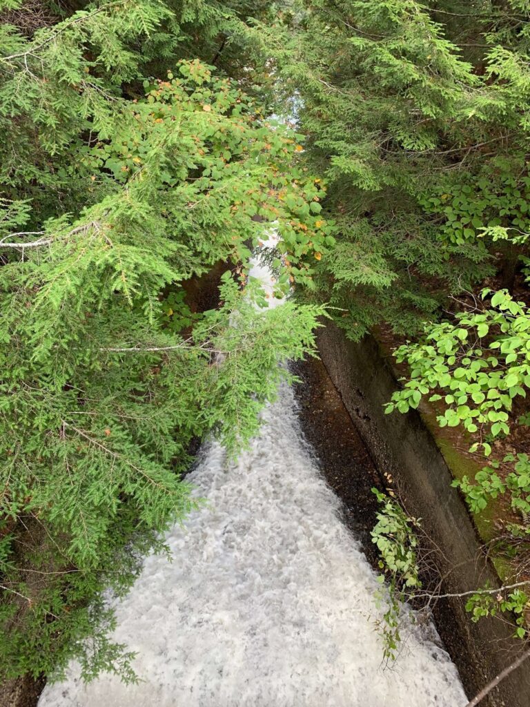 🌲 Visit Parc des Chutes Coulonge: Nature, History, and Family Adventure 🌲 Visit Parc des Chutes Coulonge: Nature, History, and Family Adventure