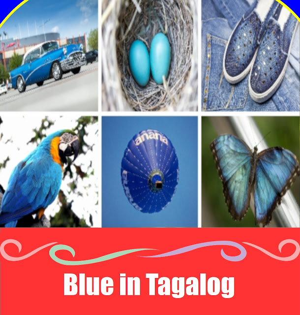 Ultimate Guide to Blue in Tagalog: Meaning, Definition, Vocabulary, and 10 Easy Example Sentences Learn the meaning of blue in Tagalog with this visual guide featuring real‑life blue objects for easy language learning.