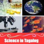 Tagalog Science Vocabulary: Learn Filipino Terms for Science and Technology Tagalog Science Vocabulary: Learn Filipino Terms for Science and Technology