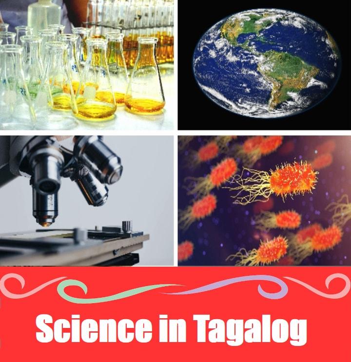 Science Word List in Tagalog