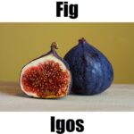 7 Essential Facts About Fig in Tagalog: Meaning, Vocabulary, Pronunciation, and Example Sentences Fig in Tagalog is igos. This fruit‑vocabulary image introduces igos alongside other Tagalog fruit names to help learners build everyday Filipino vocabulary