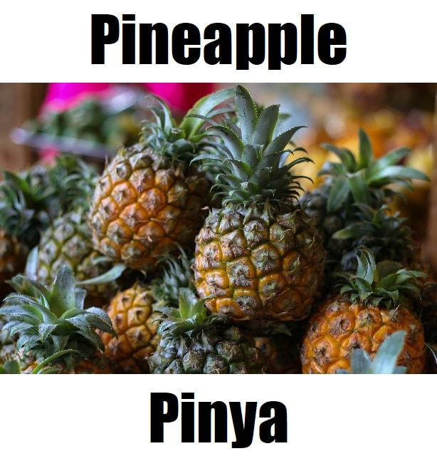 Pineapple in Tagalog: 15 Powerful Meanings, Vocabulary, Pronunciation, and Example Sentences Pineapple in Tagalog is ‘pinya.’ This educational fruit‑vocabulary image helps learners recognize pinya and other Filipino fruit names, supporting simple and fun Tagalog language learning.