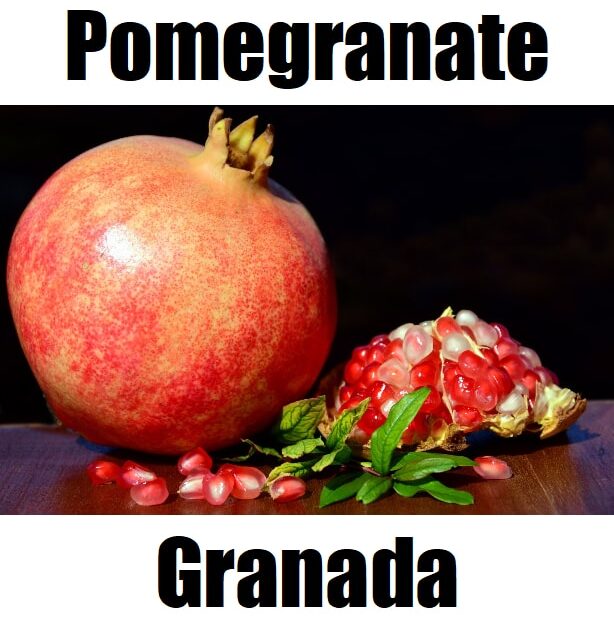 5 Essential Facts About Pomegranate in Tagalog: Meaning, Vocabulary, Pronunciation, and Example Sentences Pomegranate in Tagalog is granada. This fruit‑vocabulary image introduces granada alongside other Tagalog fruit names to help learners build everyday Filipino vocabulary.