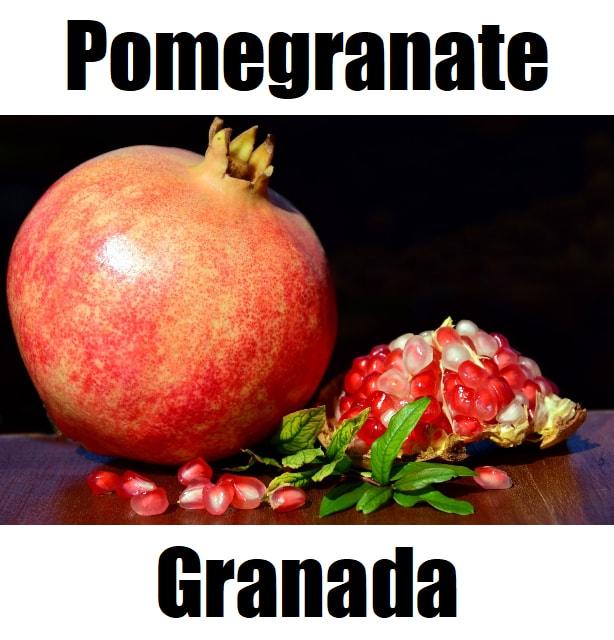 5 Essential Facts About Pomegranate in Tagalog: Meaning, Vocabulary, Pronunciation, and Example Sentences Pomegranate in Tagalog is ‘granada.’ This educational fruit‑vocabulary image helps learners recognize granada and other Filipino fruit names, supporting simple and fun Tagalog language learning.