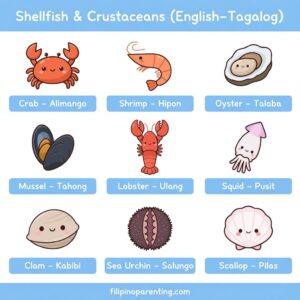 Sea Animals in Tagalog: 40+ Easy & Essential Ocean and Water Animal Names