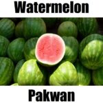 Watermelon in Tagalog: 10 Essential Facts, Meaning, and Example Sentences Discover the Tagalog word for watermelon: pakwan. A colorful Filipino fruit vocabulary guide designed to help kids and beginners learn Tagalog fruit names with ease.