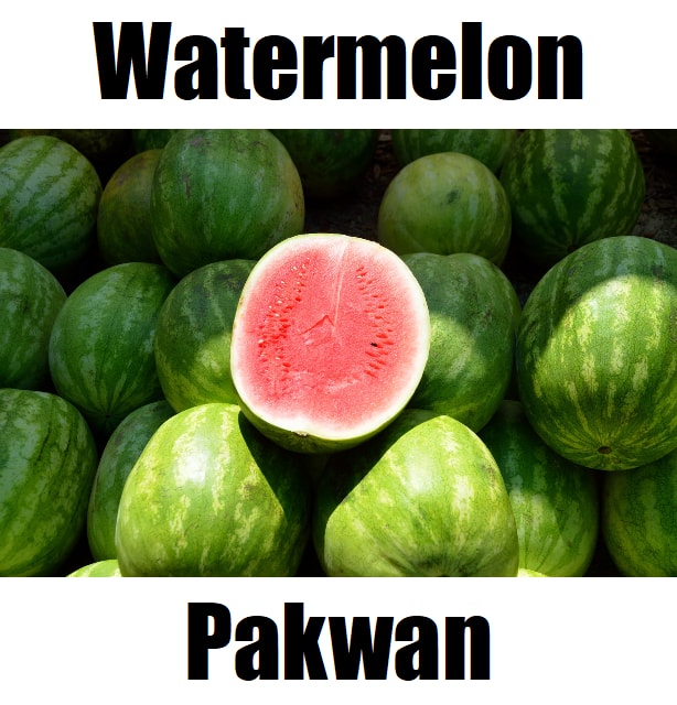 Watermelon in Tagalog: 10 Essential Facts, Meaning, and Example Sentences Watermelon in Tagalog is ‘pakwan.’ This educational fruit‑vocabulary image helps learners recognize pakwan and other Filipino fruit names, supporting simple and fun Tagalog language learning.