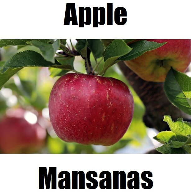 Apple in Tagalog: 7 Essential Facts, Meaning, and Example Sentences Learn the Tagalog word for apple: mansanas. This Tagalog fruit vocabulary resource supports Filipino language learning with clear visuals and simple dictionary‑style explanations.