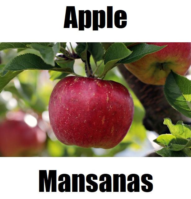 Apple in Tagalog: 7 Essential Facts, Meaning, and Example Sentences Apple in Tagalog is ‘mansanas.’ This guide helps learners understand the Tagalog word mansanas while exploring Filipino fruit vocabulary and building confidence in Tagalog language learning.