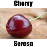 Cherry in Tagalog: 7 Essential Facts, Meaning, and Example Sentences Discover the Tagalog word for cherry, ‘seresa,’ in this educational fruit‑vocabulary image. This resource introduces seresa alongside other Tagalog fruit names to help learners expand their Filipino fruit vocabulary, understand the Tagalog translation of cherry, explore the meaning of seresa, and build confidence in Filipino language learning through a simple dictionary‑style visual guide.