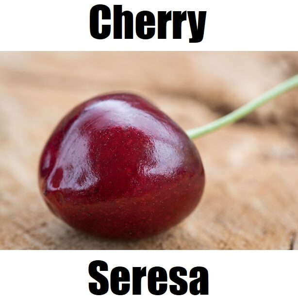 Cherry in Tagalog: 7 Essential Facts, Meaning, and Example Sentences Discover the Tagalog word for cherry, ‘seresa,’ in this educational fruit‑vocabulary image. This resource introduces seresa alongside other Tagalog fruit names to help learners expand their Filipino fruit vocabulary, understand the Tagalog translation of cherry, explore the meaning of seresa, and build confidence in Filipino language learning through a simple dictionary‑style visual guide.