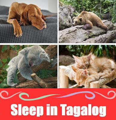 Sleep in Tagalog: Meaning, Definition, Vocabulary, and 10 Example Sentences Sleep in Tagalog: Meaning, Definition, Vocabulary, and 10 Example Sentences