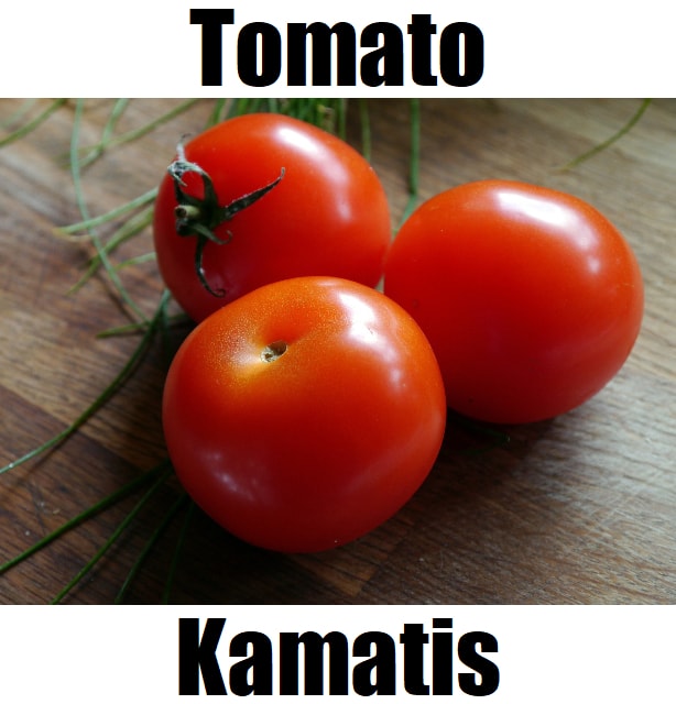 Tomato in Tagalog: Meaning, Definition, Vocabulary, and 10 Example Sentences Tomato in Tagalog: Meaning, Definition, Vocabulary, and 10 Example Sentences