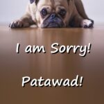 I Am Sorry in Tagalog (Patawad) I Am Sorry in Tagalog (Patawad)