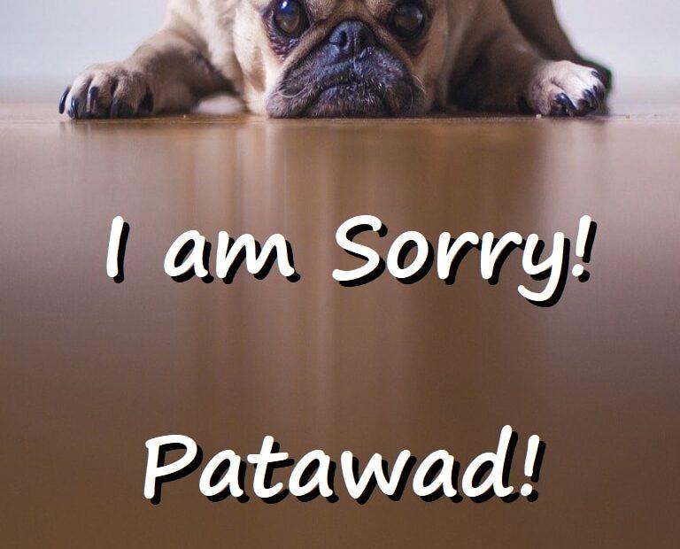 I Am Sorry in Tagalog (Patawad)