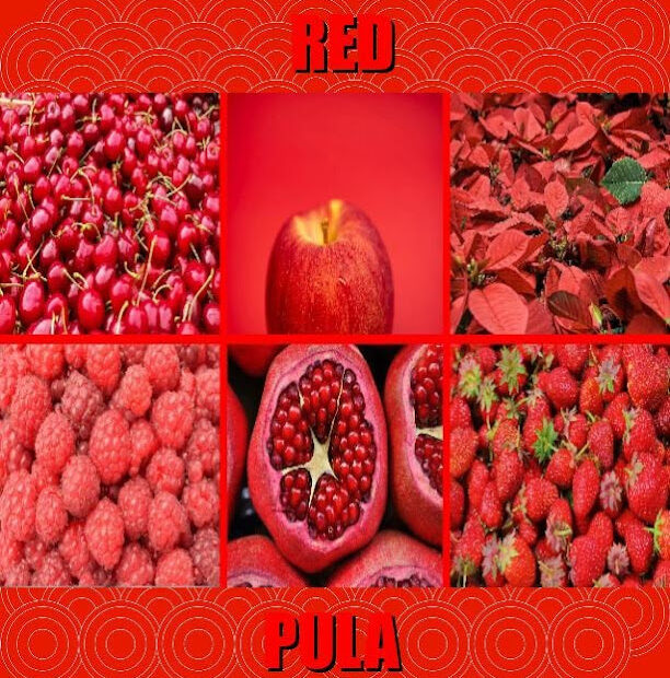 Ultimate Guide to Red in Tagalog: Meaning, Definition, Vocabulary, and 10 Easy Example Sentences Learn the meaning of red in Tagalog with this visual guide featuring real‑life red fruits and objects for easy language learning.
