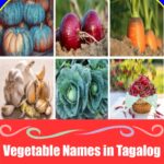 Vegetables in Tagalog: Complete Guide to Gulay with 35 Examples Vegetables in Tagalog: Complete Guide to Gulay with 35 Examples