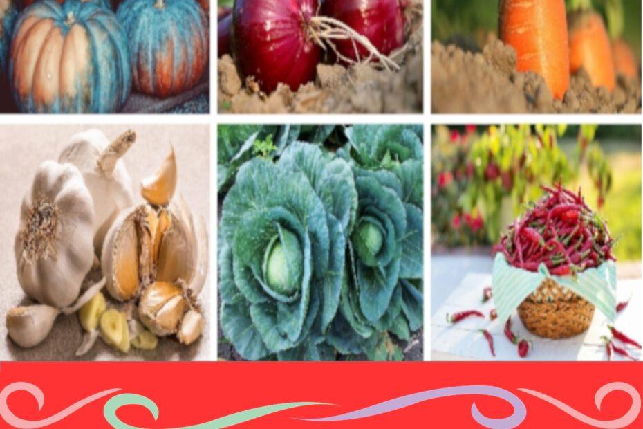 Vegetables in Tagalog with English names including kalabasa, sibuyas, karot, bawang, repolyo, and sili