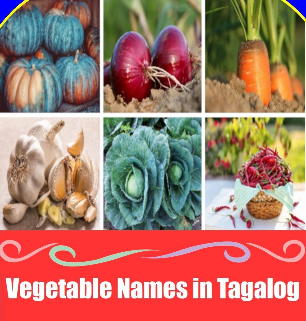 The Ultimate Guide to 35 Delicious Vegetables in Tagalog (Complete English List) Vegetables in Tagalog with English names including kalabasa, sibuyas, karot, bawang, repolyo, and sili