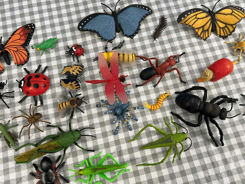 Butterfly Hunt: An Easy Game to Teach and Entertain Your Kids √