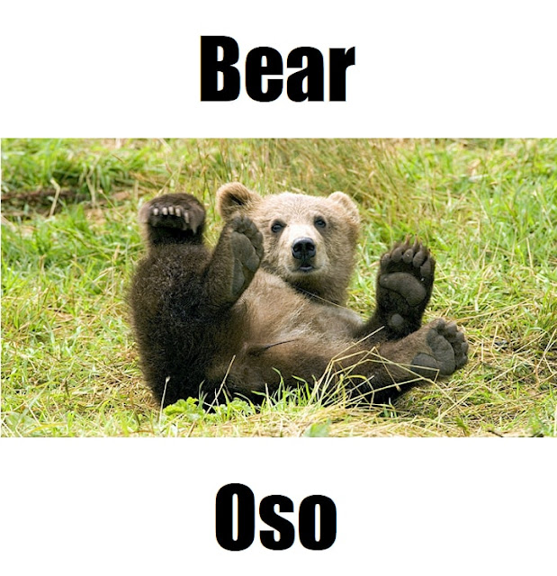 Bear in Tagalog (Oso): 20 Powerful Vocabulary Words You Must Know Learn the Tagalog word for bear and explore its meaning, pronunciation, and usage in Filipino vocabulary.