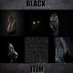 Essential Black in Tagalog: Meaning, Definition, Vocabulary, and 10 Easy Example Sentences Learn the meaning of black in Tagalog with this visual guide featuring real‑life black objects for easy and fun language learning.