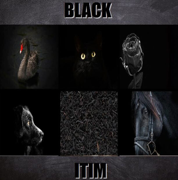 Essential Black in Tagalog: Meaning, Definition, Vocabulary, and 10 Easy Example Sentences Learn the meaning of black in Tagalog with this visual guide featuring real‑life black objects for easy and fun language learning.