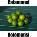 5 Powerful Facts About Calamansi in Tagalog: Meaning, Uses, Health Benefits, and Example Sentences Calamansi in Tagalog is ‘kalamansi.’ This simple fruit‑vocabulary image helps learners recognize kalamansi and other Filipino fruit names for easy Tagalog learning.