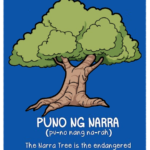 Narra Tree: Cultural Symbol and Natural Wonder of the Philippines Narra Tree: Cultural Symbol and Natural Wonder of the Philippines