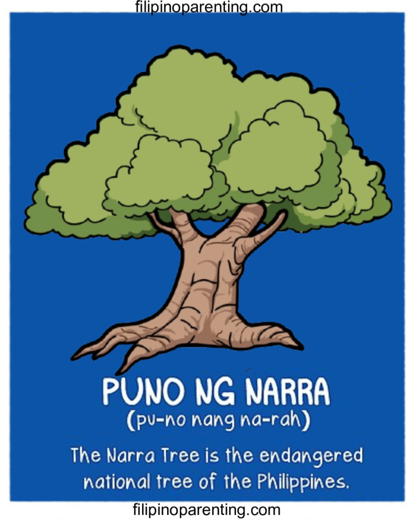 Narra Tree: Cultural Symbol and Natural Wonder of the Philippines Narra Tree: Cultural Symbol and Natural Wonder of the Philippines