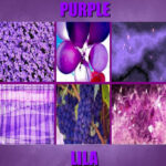 Stunning Purple in Tagalog: Meaning, Definition, Vocabulary, and 10 Example Sentences Learn the meaning of purple in Tagalog with this visual guide featuring real‑life purple objects for easy and fun language learning.