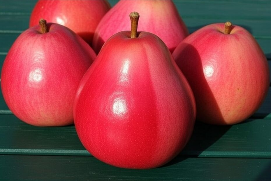 15 Fascinating Facts About Rose Apple in Tagalog: Meaning, Vocabulary, and Example Sentences Learn how to say rose apple in Tagalog — makopa. This visual Tagalog fruit vocabulary resource supports clear, engaging Filipino language learning.