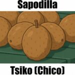 15 Sweet & Powerful Facts About Sapodilla in Tagalog: Meaning, Vocabulary, and Example Sentences Sapodilla in Tagalog is tsiko, commonly written as chico. This educational vocabulary image introduces tsiko alongside other Filipino fruit names to help learners build practical Tagalog skills.