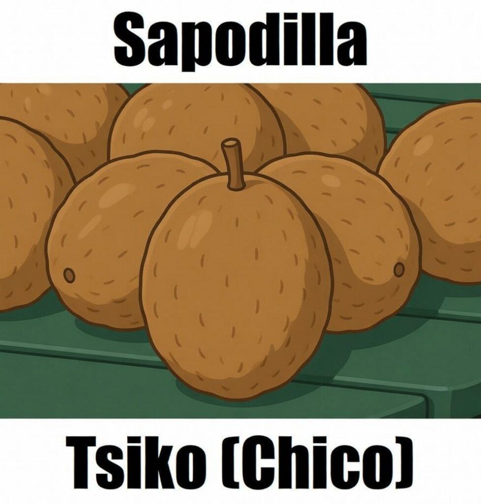 15 Sweet & Powerful Facts About Sapodilla in Tagalog: Meaning, Vocabulary, and Example Sentences Sapodilla in Tagalog is ‘tsiko’ (also spelled chico). This simple fruit‑vocabulary image helps learners recognize tsiko and other Filipino fruit names for easy Tagalog learning