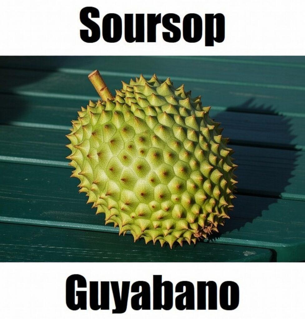 21 Reasons to Love Soursop in Tagalog: Meaning, Vocabulary, and Example Sentences Soursop in Tagalog is ‘guyabano.’ This simple fruit‑vocabulary image helps learners recognize guyabano and other Filipino fruit names for easy Tagalog learning.