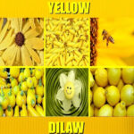 Ultimate Guide to Yellow in Tagalog: Meaning, Definition, Vocabulary, and 10 Essential Example Sentences Discover how to say yellow in Tagalog through clear examples like fruits, flowers, and everyday yellow items.