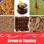 Complete Brown in Tagalog: Meaning, Definition, Vocabulary, and 10 Example Sentences Discover how to say brown in Tagalog through real‑life objects and easy vocabulary. Perfect for kids, teachers, and heritage learners.