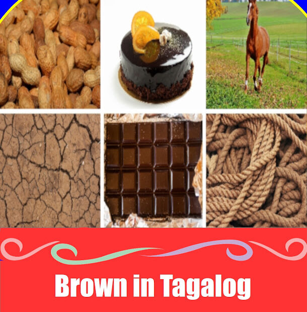 Brown in Tagalog: Meaning, Definition, Vocabulary, and 10 Example Sentences Discover how to say brown in Tagalog through real‑life objects and easy vocabulary. Perfect for kids, teachers, and heritage learners.