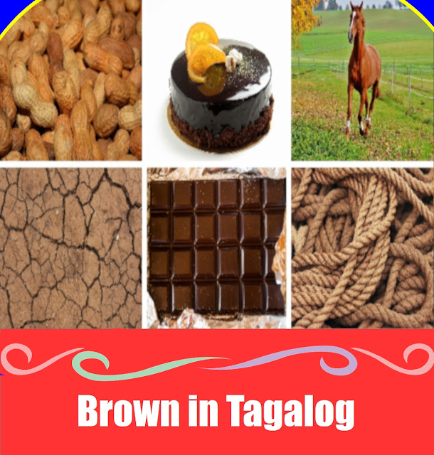 Brown in Tagalog: Meaning, Definition, Vocabulary, and 10 Example Sentences Learn the Tagalog word for brown with clear examples and everyday objects. A simple, visual guide for beginners and Filipino language learners.