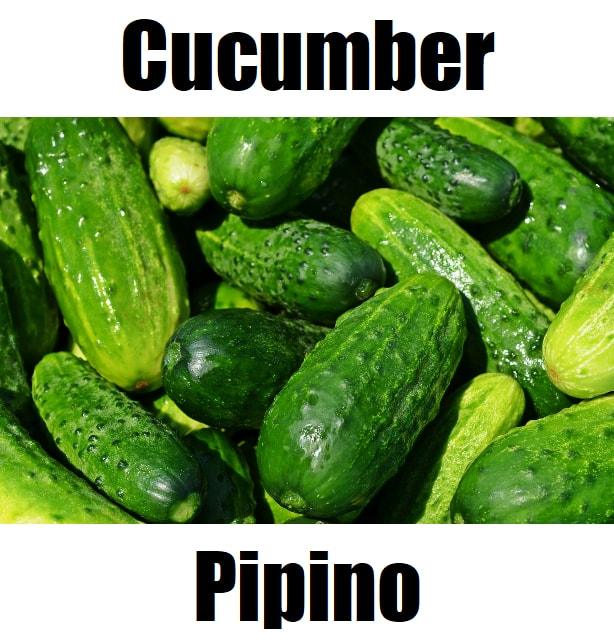 Cucumber in Tagalog: 7 Powerful Reasons Pipino Is a Kitchen Staple Fresh green cucumbers with the text "Cucumber" above and the Tagalog word "Pipino" below.