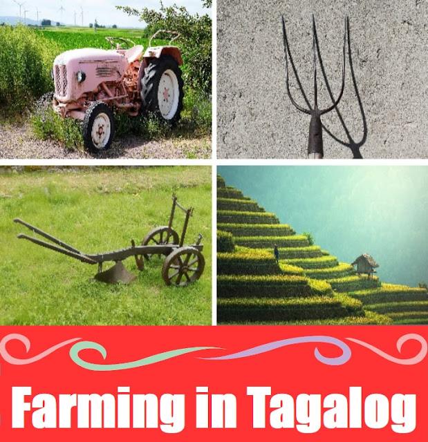 Farming in Tagalog: Meaning, Definition, Vocabulary, and 10 Example Sentences Farming in Tagalog