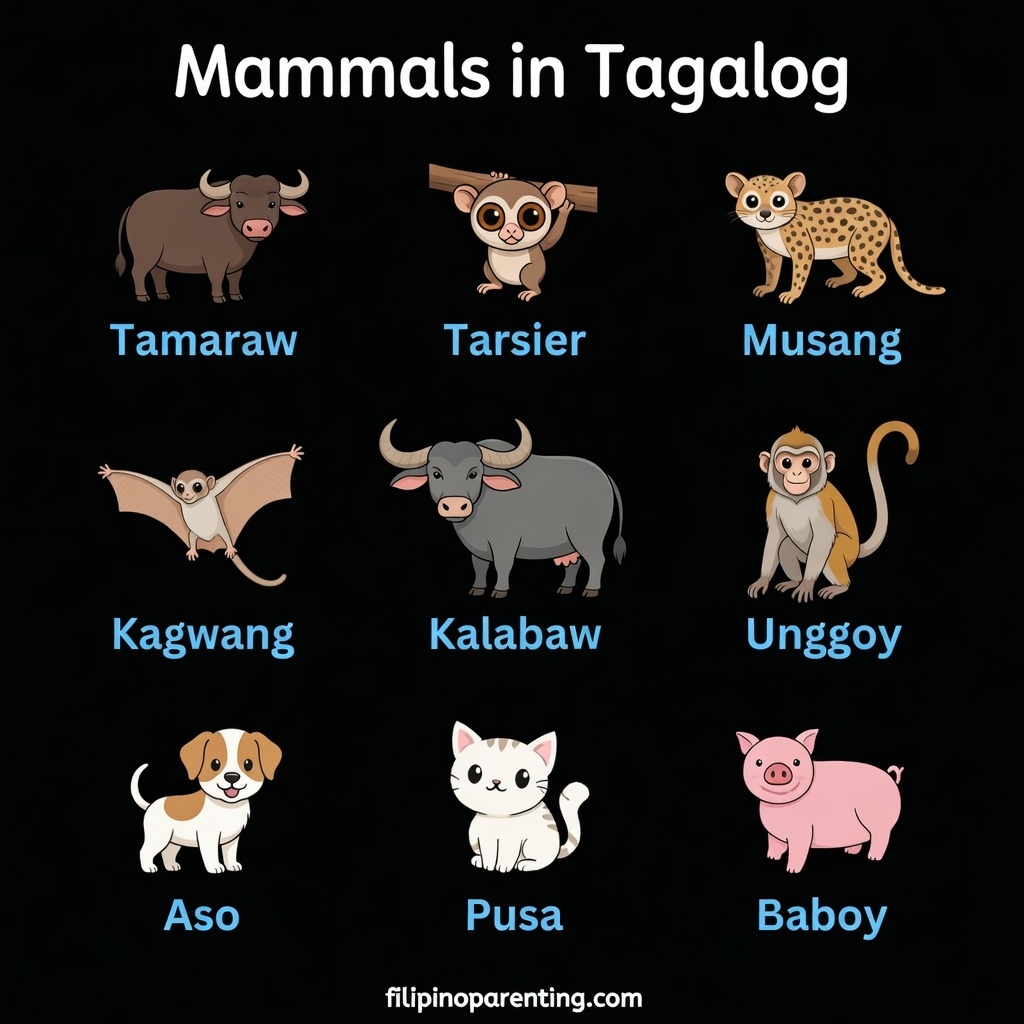 Essential Mammals in Tagalog: Full List, Definition, and 10 Clear Sentences Discover native Filipino mammals through this Mammals in Tagalog guide, including tamaraw, tarsier, musang, kagwang, kalabaw, and other familiar animals.