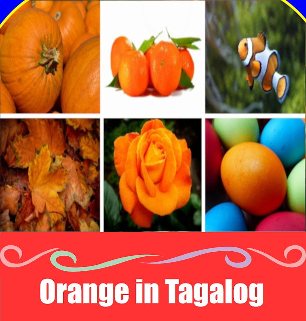 Ultimate Guide to Orange in Tagalog: Meaning, Definition, Vocabulary, and 10 Essential Example Sentences Discover how to say orange in Tagalog through clear examples like fruits, flowers, fish, and everyday items.
