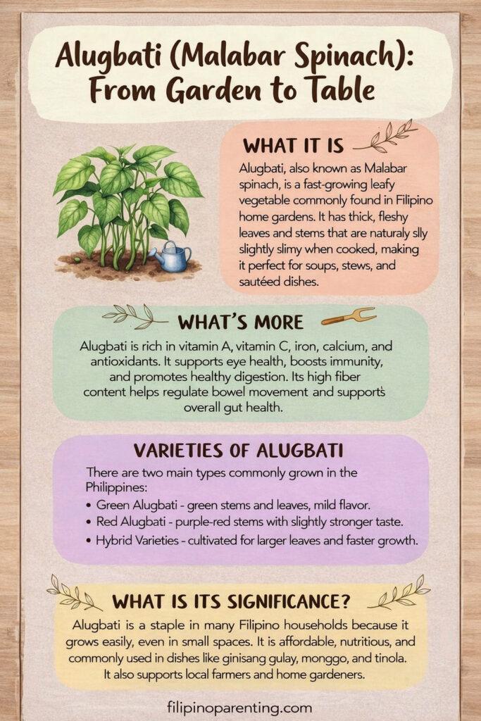 Filipino Vegetable Gardening: 10 Essential Vegetables for Your Backyard 🌱 Educational infographic for Alugbati (Malabar Spinach) in the Philippines, detailing varieties like Green and Red Alugbati, health benefits for digestion, and its use in dishes like monggo and tinola.