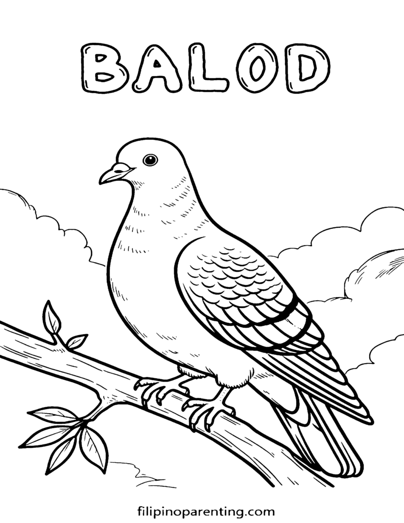 16 Free Philippine Bird (Ibon) Coloring Pages: Ultimate Heritage Guide Printable Balod (Wild Pigeon) Tagalog vocabulary coloring page for families and language learners.
