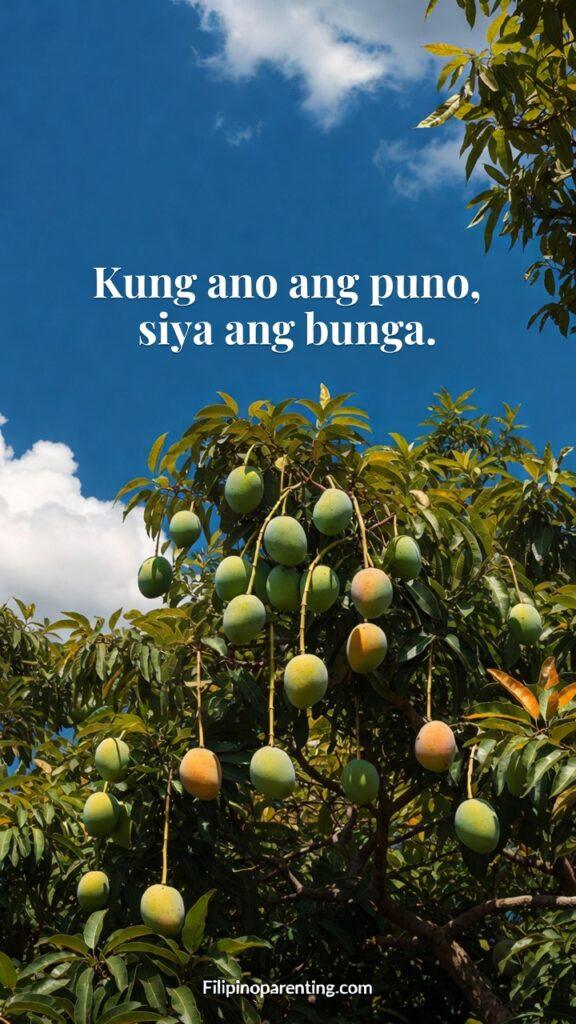 Classic Tagalog Salawikain Life Human Nature: 5 Timeless Truths A lush Mango tree laden with golden fruit against a bright, clear blue sky.