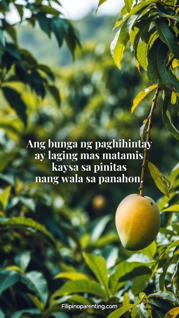 Deep Tagalog Proverbs on Patience and Victory: 5 Unstoppable Truths A close-up of a perfectly ripe, golden Philippine mango hanging from a lush green tree.