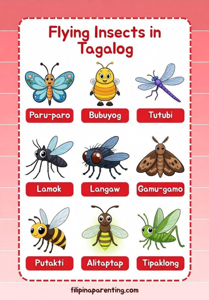 25 Helpful Insect Names in Tagalog (Mga Insekto with English Translation Guide) Filipino language chart showing flying insects in Tagalog including Lamok (mosquito), Alitaptap (firefly), and Gamu-gamo (moth).